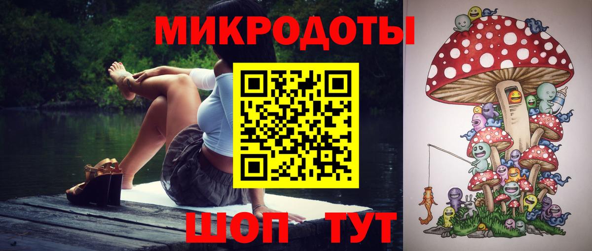 Псилоцибиновые грибы мицелий Оренбург