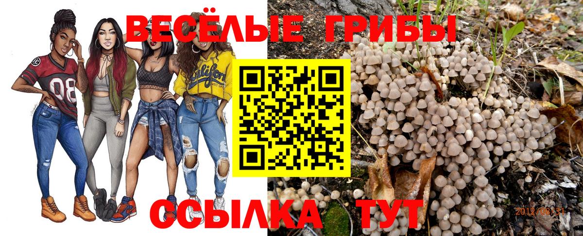 наркошоп  Вход с VPN  Оренбург  Псилоцибиновые грибы ЛСД  Галлюциногенные грибы Cubensis 